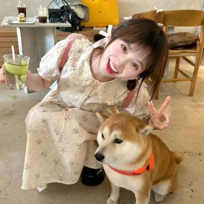 爱寻迷